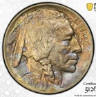 1913 P Buffalo Nickel Type PCGS AU55 Well Struck Nicely Toned Colorful Toning