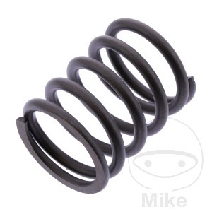 Valve Spring