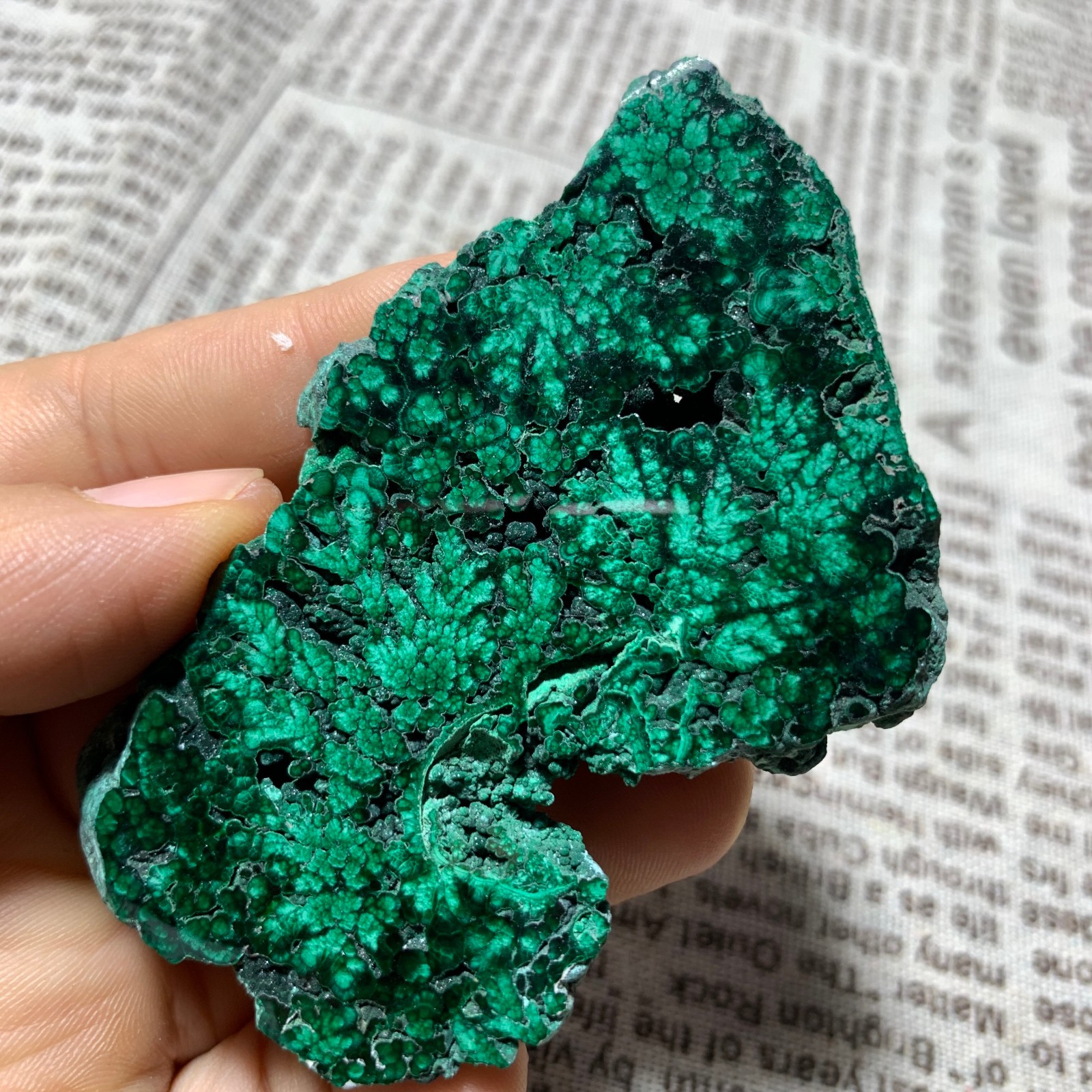 56g Natural malachite slice quartz crystal luster mineral specimen