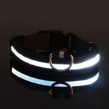 Safety Pet Dog LED Collar Night Flashing Light Up Adjustable Waterproof Size M