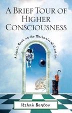 A Brief Tour of Higher Consciousness: A Cosmic Book on the Mechanics of Creation
