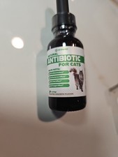 Natural Antibiotics for Cats Cat Supplements