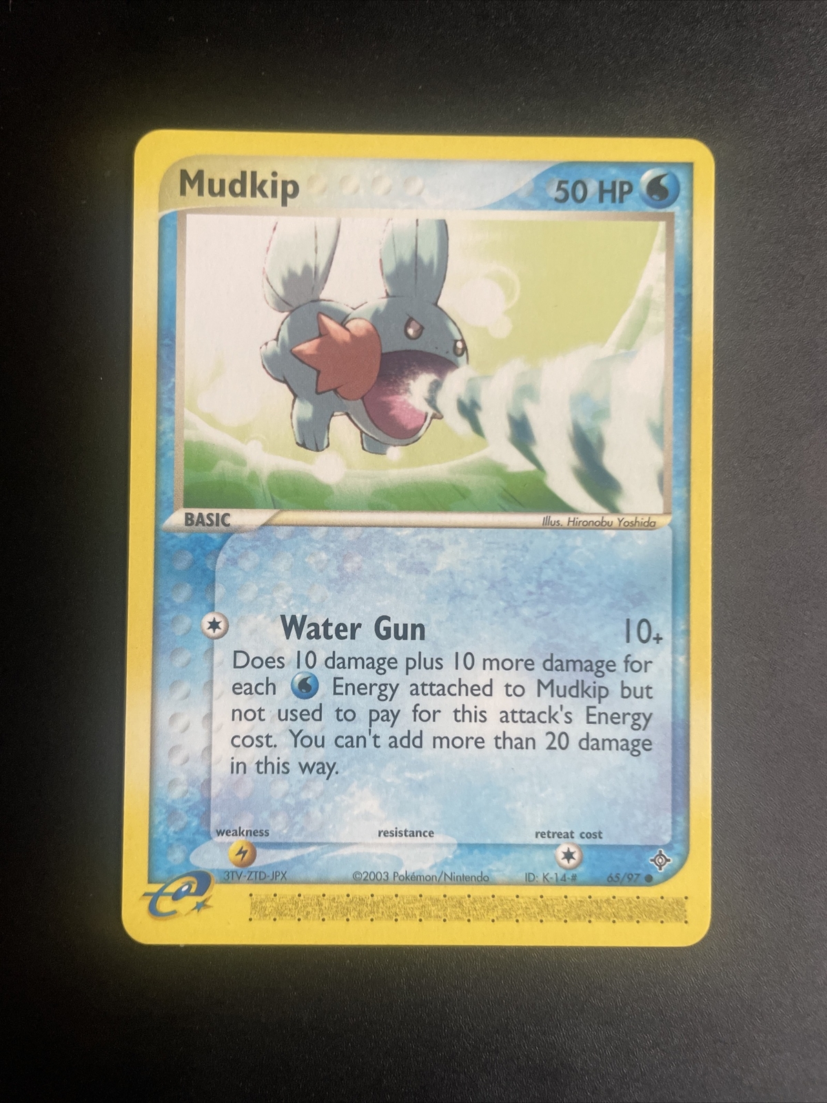 Pokémon TCG Mudkip EX Dragon 65/97 Regular Common NM