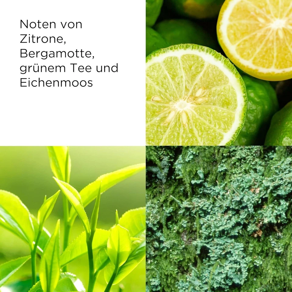 Elizabeth Arden - Green Tea, Eau de Parfüm, Parfüm - Bild 4 von 4