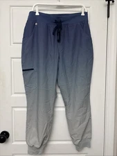 FIGS Scrub Pants Blue Ombre Technical Collection Cargo Women’s Large Petite