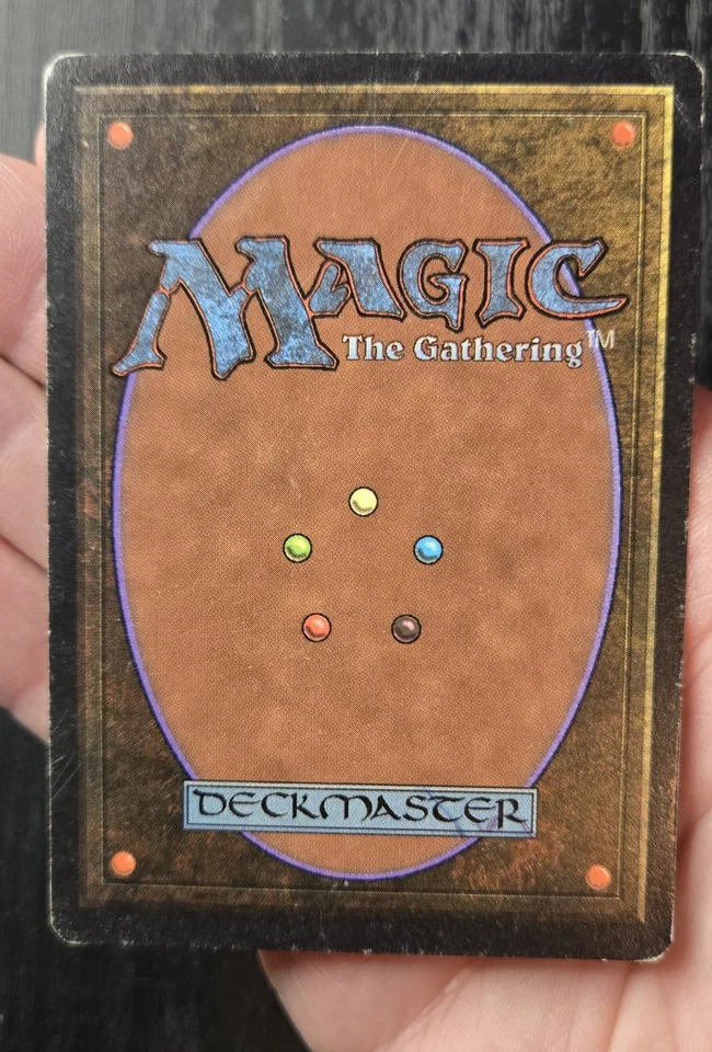 Mtg Unlimited Taiga Signed  - Image 4 of 4