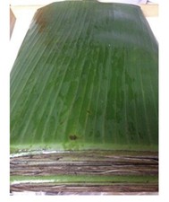FRESH BANANA LEAVES FOR WRAPPING  COOKING, FOOD SERVING,FOR DECORARION 5 Lb