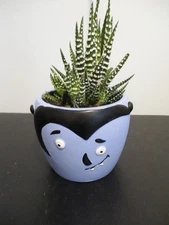 Halloween Vampire Planter Pot Succulent 3"