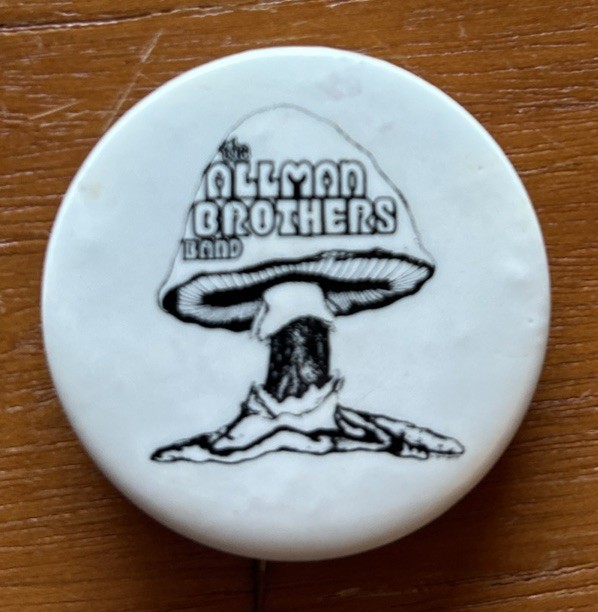 Rare 1970's The Allman Brothers vintage  Pinback Button - Flournoy Holmes art