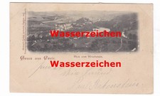 Postcard greeting from Greiz, view from Hirschstein Grimm's restaurant Carl Blechschmidt