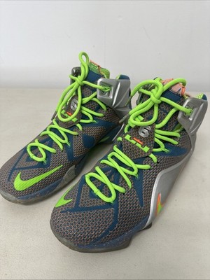 Lebron $12 Million Man