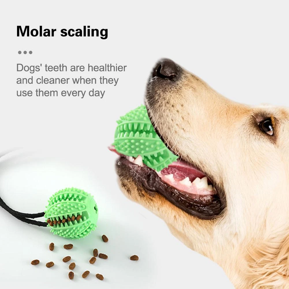 dog toy ball treat dispenser