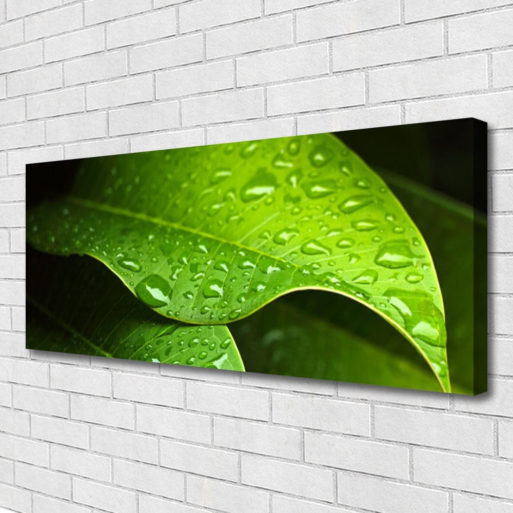 Image sur Toile Florale 125x50 Motif Feuille et Rosée pour Déco Murale Salon Moderne