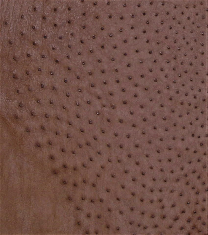  Ostrich Leather Hide  Rustic Brown Color   (%100 Natural Genuine Hide)   - Image 3 of 4