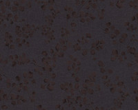3 Rollen As Vliestapeten Profitex Ranke,Graphit,Graumetallic 35865-2 5A 0,69€/M.