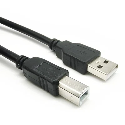 LYAI 6FT/2M 2.0 Printer Cable USB A to B High Speed Cord, USB MIDI Cable for Audio I