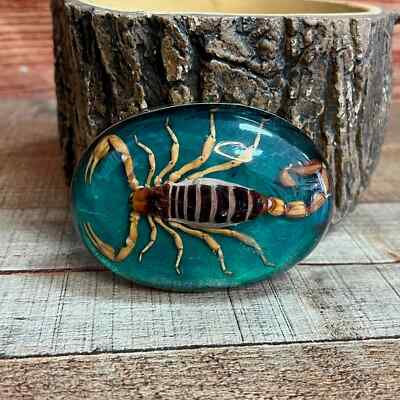 Hecho en Mexico Real Scorpion Vintage Men Women Western Belt Buckle REALLY  RODEO