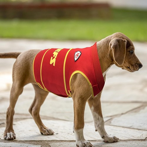 NFL Dog Anxiety Shirt Calming Soothing Solution Vest for Dogs and Cats - Picture 41 of 78