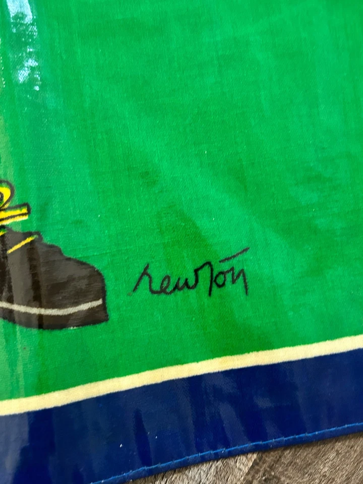 Delantal de broma de humor laminado recubierto de PVC vintage para mujer británica Foto 3 de 4