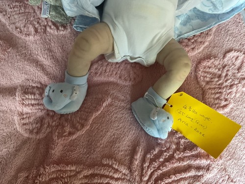 Reborn Baby Doll with visible Veins.Aria-Rose, Weighted &cuddly. - Picture 8 of 12