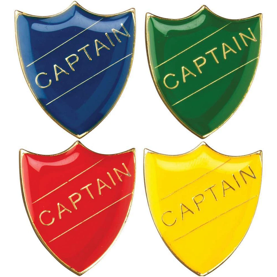 School Council School/Club Pin Fastening Enamel Badge - four colours - Image 4 of 4