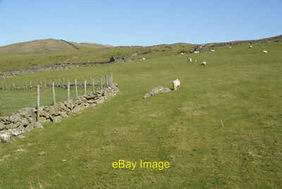 Photo 6x4 Sheep grazing above Merthyr Farm The hilltop ahead is Moel Goed c2012