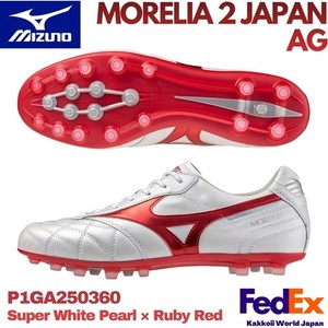 Morelia 2 | eBay