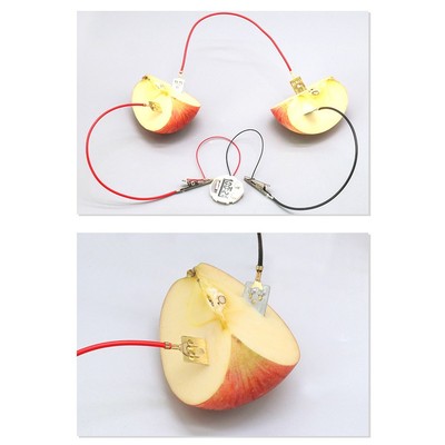 Hands On Obst Batterie Experimentierset zum Vermitteln von Stromkonzepten