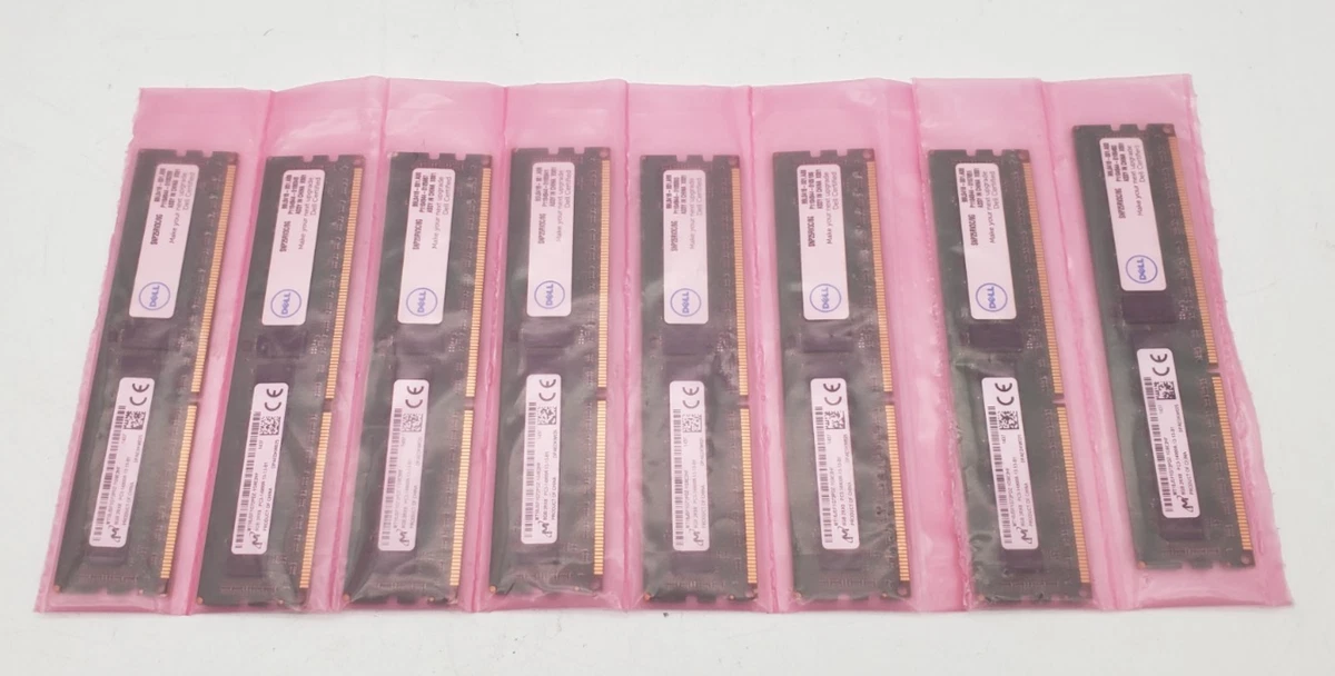 PC3-14900 (DDR3-1866) Bus Speed Computer RAM 64 GB Total Capacity