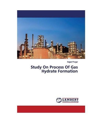 Study On Process Of Gas Hydrate Formation, Sajjad Porgar