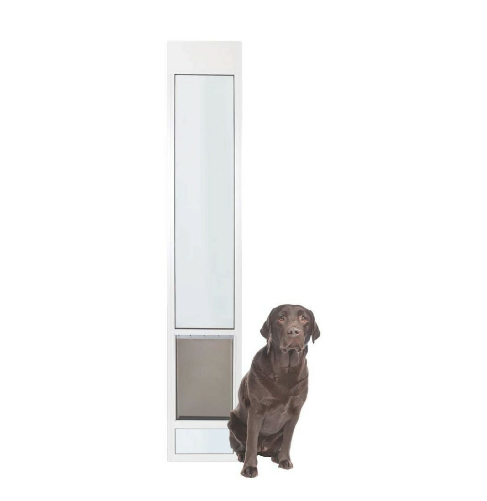 xl dog door sliding glass