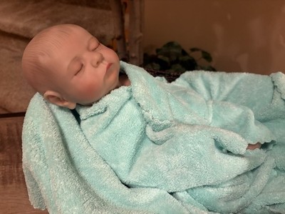Reborn Baby Boy 15  Doll Realistic Newborn Articulated Body Anatomically Correct