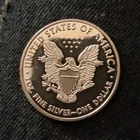 U.S. Mint American Eagle 2013 1 oz Silver Coin One Dollar .999 Fine Uncertified