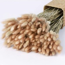 Donghome 120pcs 17" Bunny Tails Dried Flowers Brown Pampas Natural,