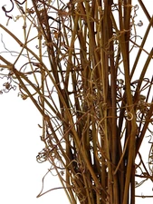 Grapevine Sections Stick Skinny Branch Bundle Swag Flora Decor 12"L - 3 Bunches