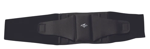 Professionals Choice Comfort Fit Low Back Support