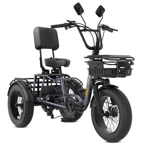 Breeze 3 Wheel electric trike Reverse Gear, Rear Differential Folding E Tricycle