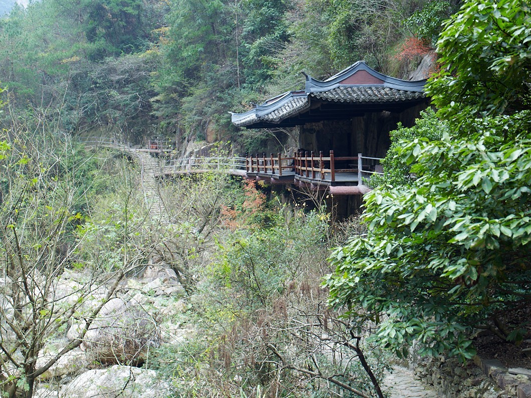 Phase One P25+ Hasselblad V mount digital back Excellent ++