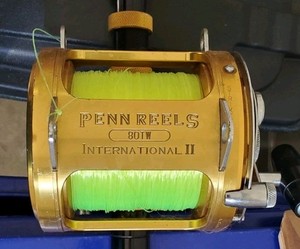 Penn International 80 Tw Reel for sale | eBay