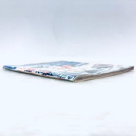 Dreamcast Magazine Vol.19 June 1999, Weekly Dreamcast Magazine, Lightly Used ww3