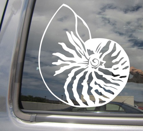 Nautilus Shell Living Fossil Car Laptop Bumper Window Vinyl Decal ...