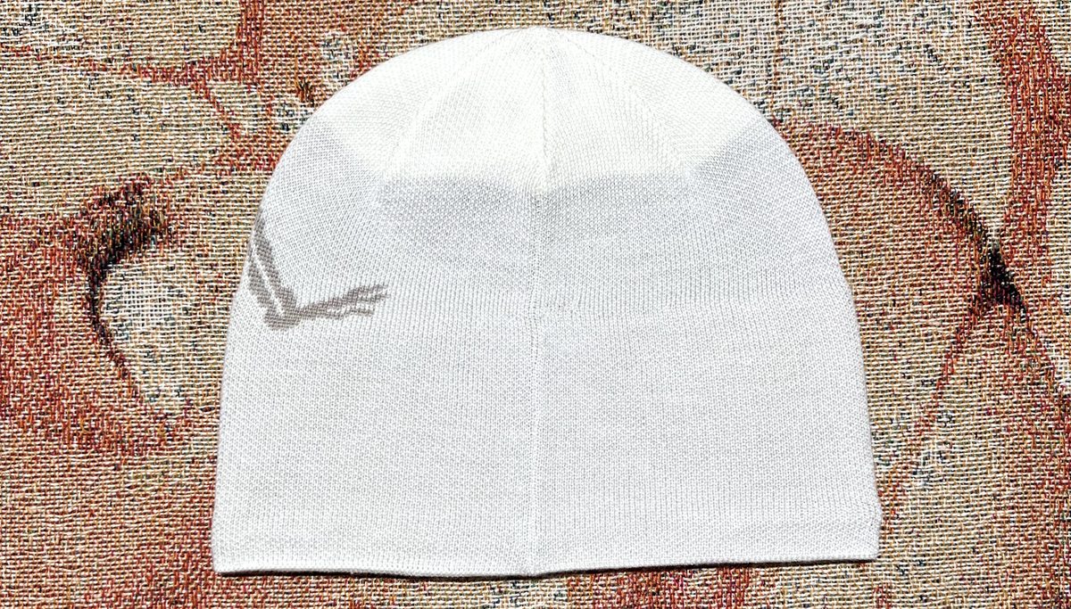 Arc'teryx Bird Head Toque Beanie Arctic Silk Rune Brand New