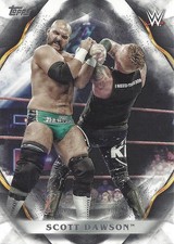 2019 Topps WWE Undisputed #64 Scott Dawson - WWE