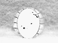 Mens Ring Size 13 Sacred White Buffalo Sterling Silver Native American Indian Z Mens Ring Size 13 Sacred White Buffalo Sterling Silver Native American Indian Z