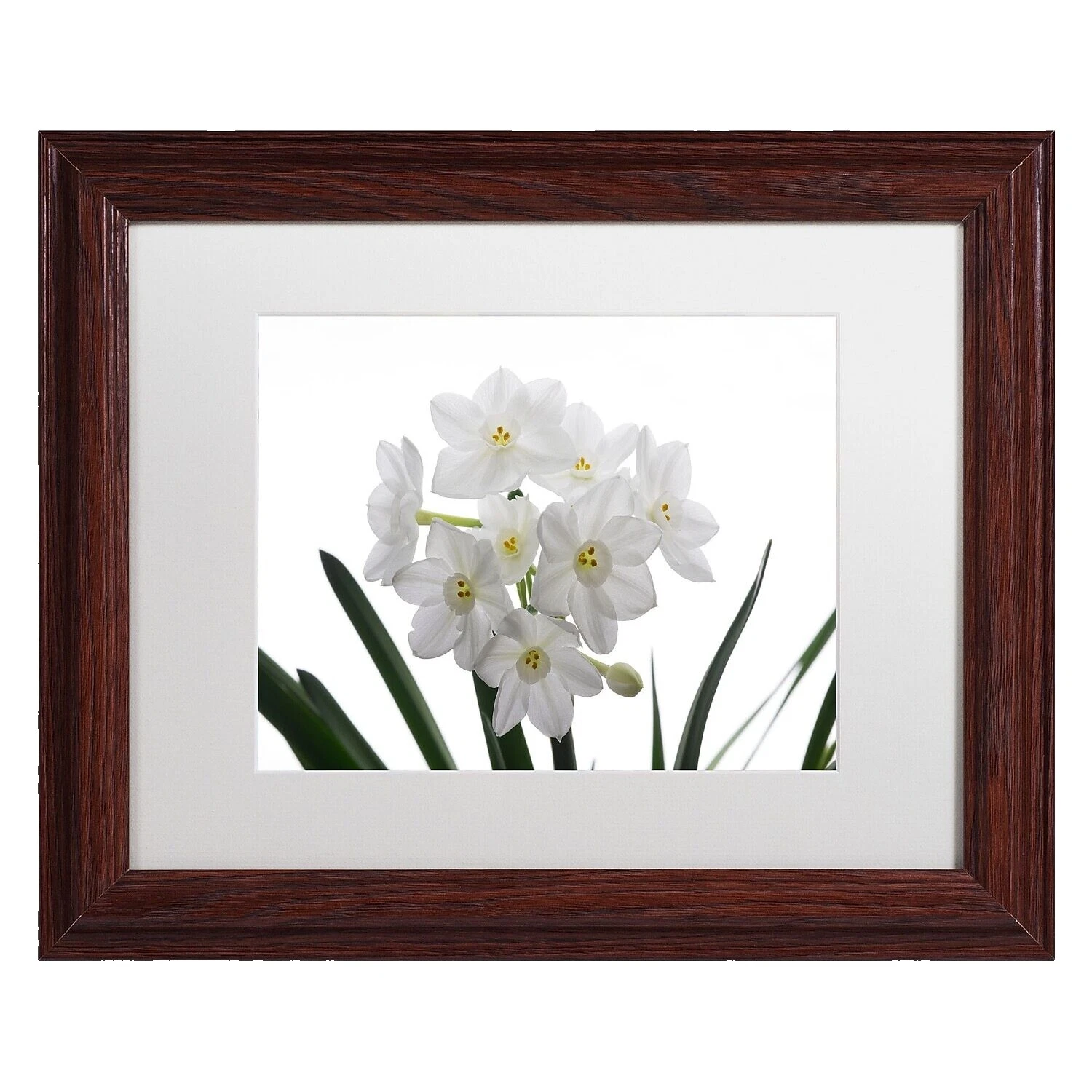 Marcos para fotos blanco de papel