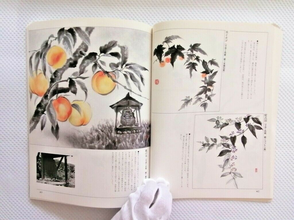 Picture 2 of 10