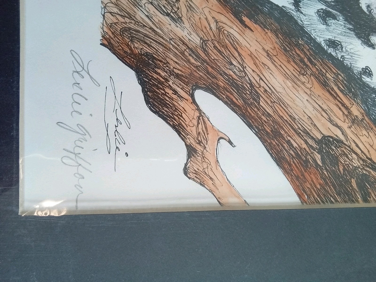 Picture 2