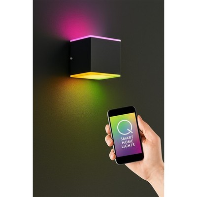 Außenleuchte Paul Neuhaus Q-Amin Außenlampe LED 12,5W RGBW Dimmbar UP&Down IP44