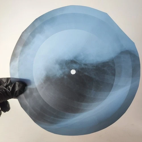 LED ZEPPELIN BLACK DOG X-Ray USSR Record Roentgen Bone Ribs Music Vinyl
