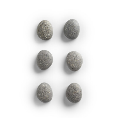 Zeller Magnet-Set ''Stone'' 6-tlg. Polyresin grau 2,1 x 1,8 x 1 cm